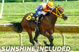 At second asking Sunshine Included 1st in Delaware’s Small wonder Stakes for A Delaperriere Stables trained by Anthony Pecoraro.