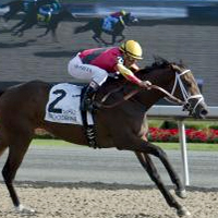 Shamrock Rose finishes 2nd in Mazarine Stakes Gr. 3 for Conrad Farms trained by Mark Casse bred by Best A Luck Farm