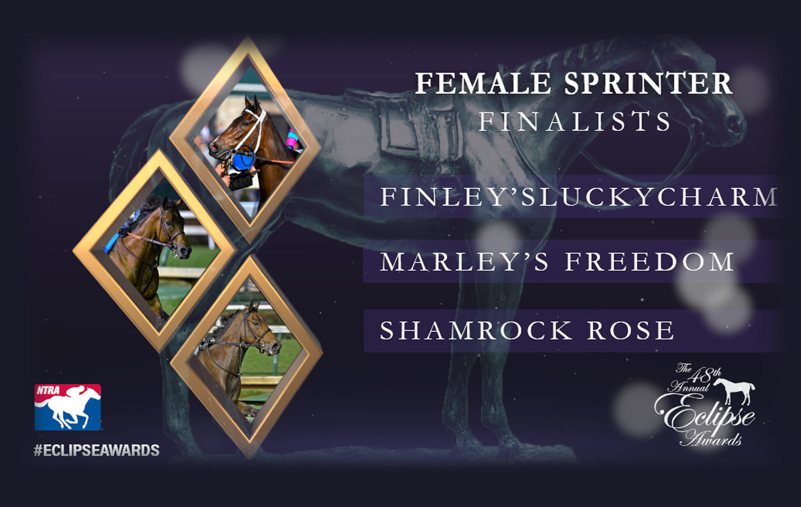 Shamrock-Rose-Eclipse-Finalist