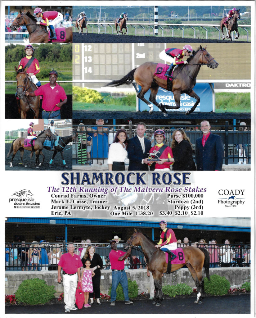 Shamrock Rose wins The 12th Running of the Malvern Rose Stakes