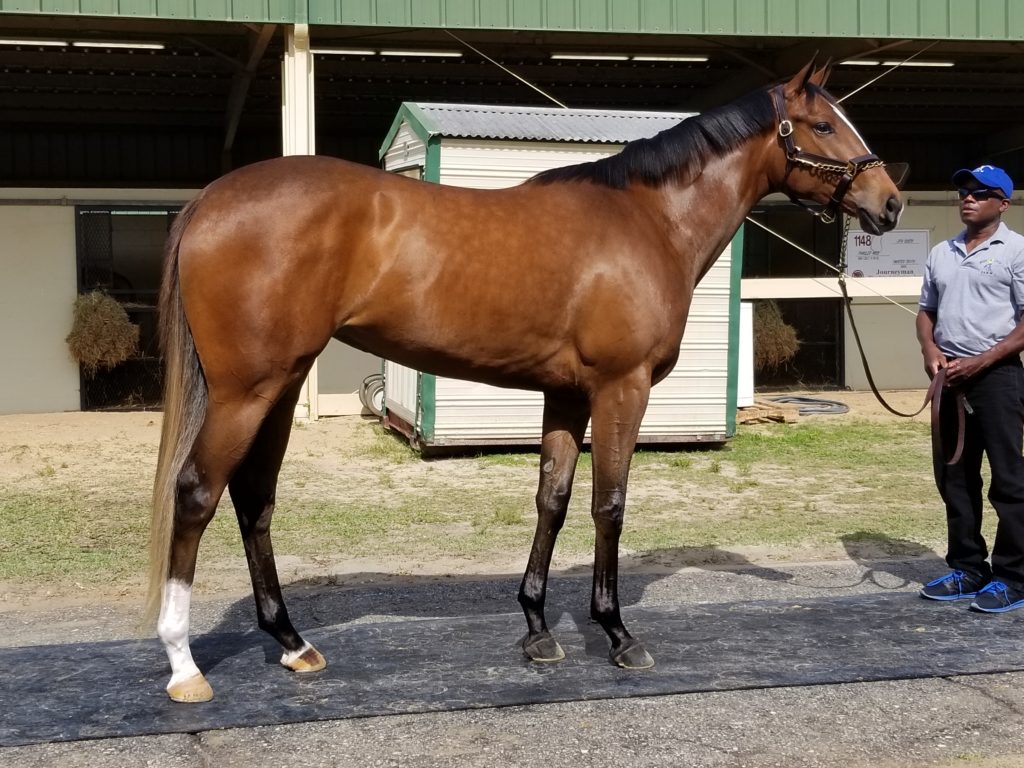 Hip 975 purchased by Dennis Oneil agent for Loooch Racing Stables Inc.