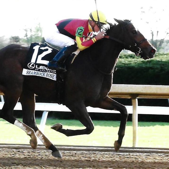 Shamrock Rose Wins The Lexus Raven Run G2