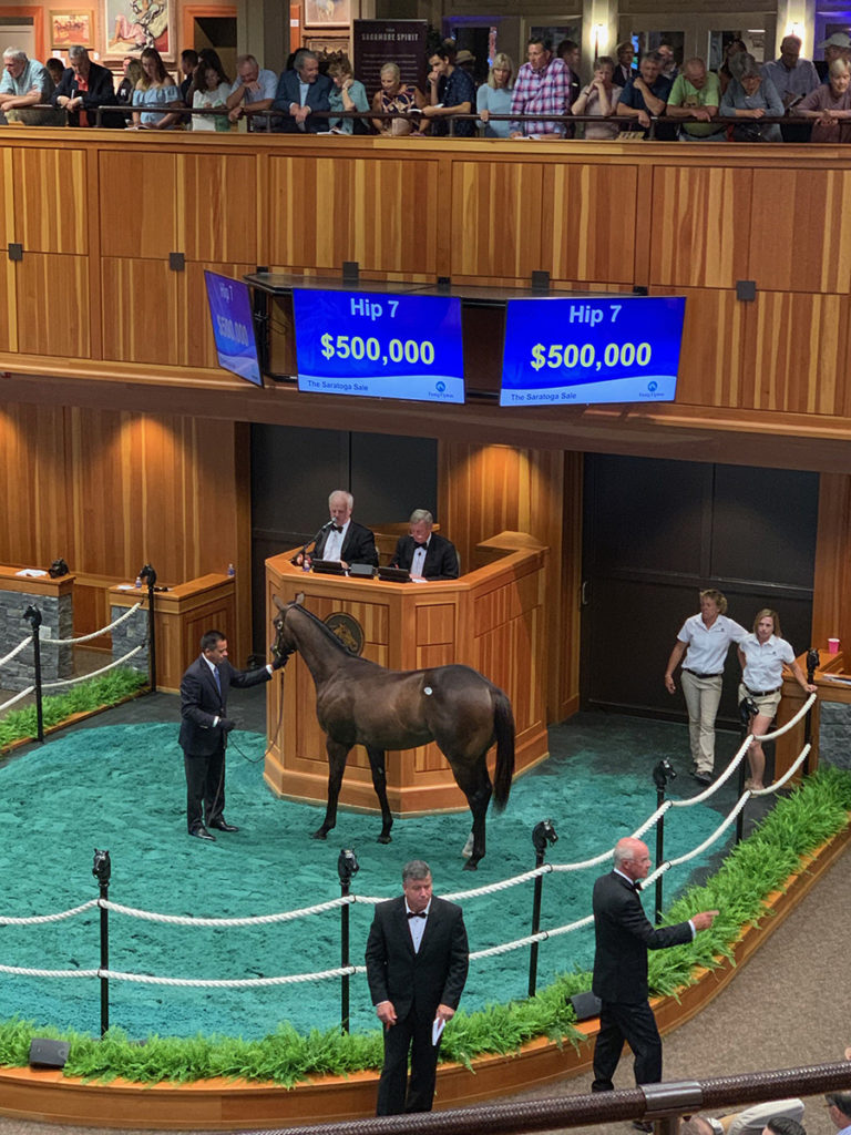 Frosted Colt out of Flirting With Fate SOLD for $500K at Saratoga 2019. Best A Luck Farm Sales Graduate.