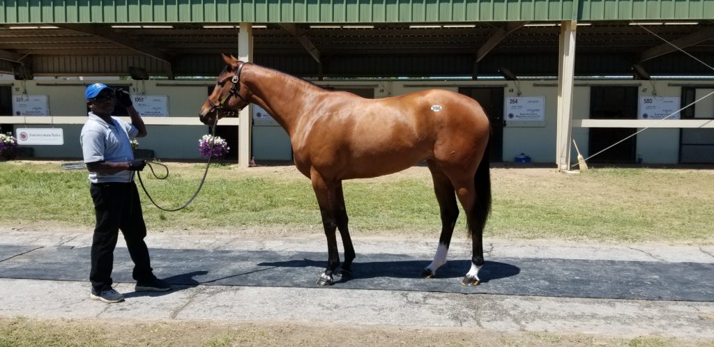 OBS April, Ghostzapper-Naive Enough f SOLD $400,000