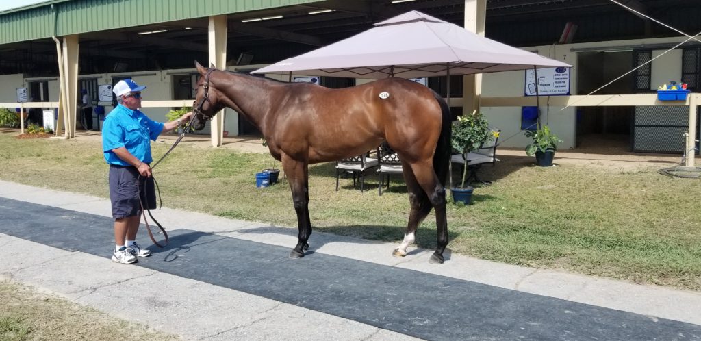 April OBS, Danza-Polish Silk f. $400,000