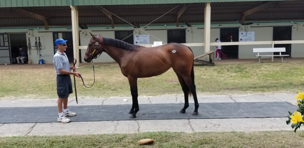 OBS April, Jump Start-Triple Great f SOLD $30,000